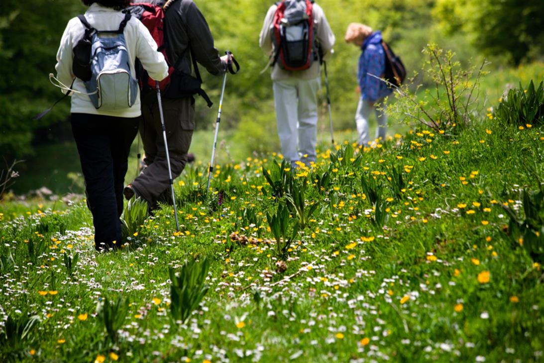 Promenades et petites randonnées Pointe du Raz - Cap-Sizun