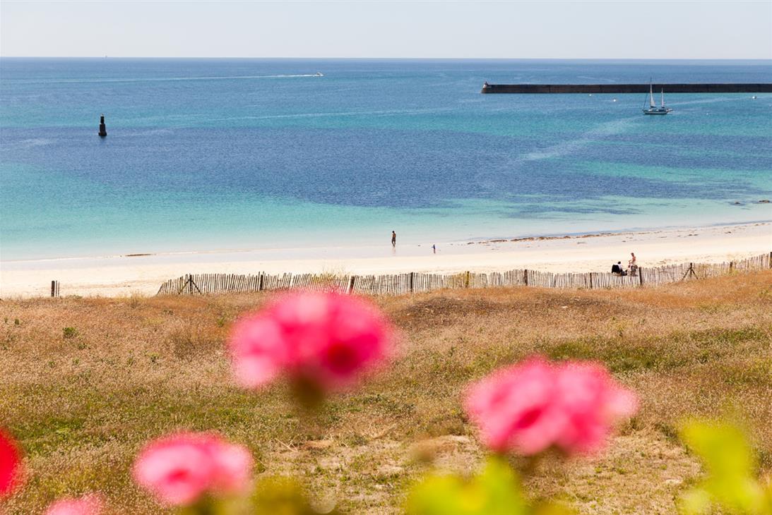 Chambre « île de Sein » - Double et Twin