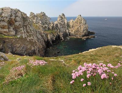 Vue sur la Pointe de Pen Hir -TORSET Pierre