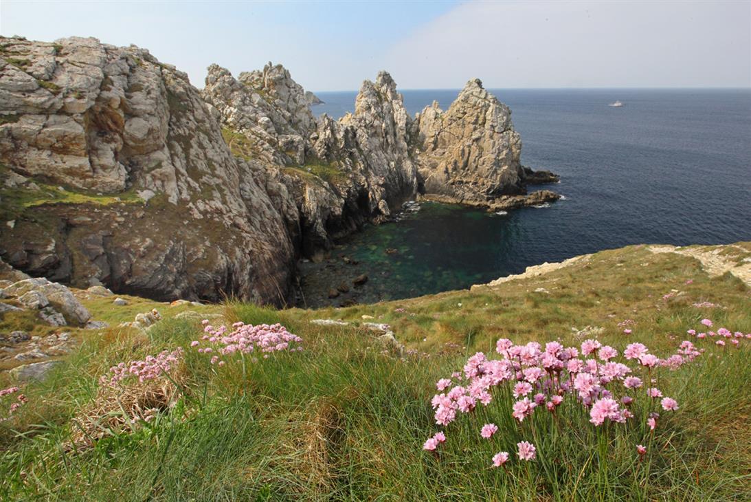 Vue sur la Pointe de Pen Hir -TORSET Pierre