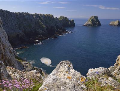 La pointe de Pen-Hir et les tas de pois - GLADU Ronan