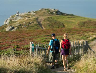 Goulien, randonnée sur GR34 le long des falaises de la réserve naturelle du Cap Sizun - Berthier Emmanuel