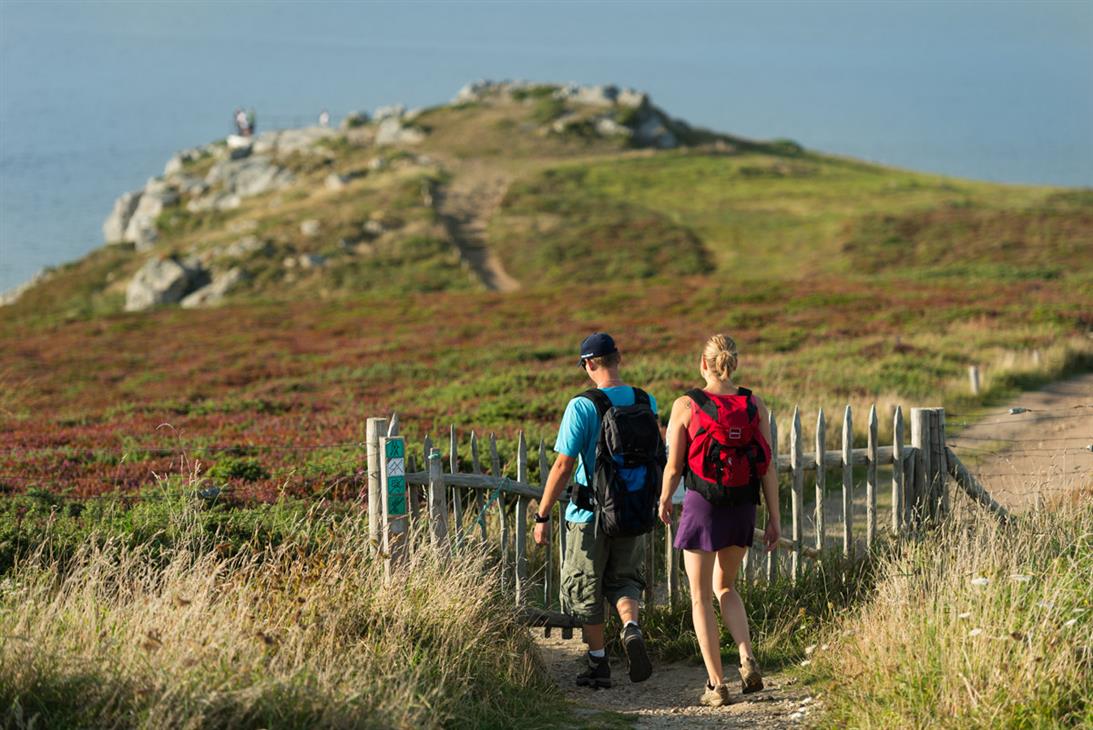 Goulien, randonnée sur GR34 le long des falaises de la réserve naturelle du Cap Sizun - Berthier Emmanuel