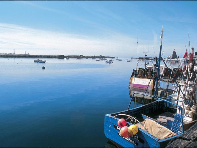 Concarneau, ville d'art et d'histoire - Guillaudeau Donatienne