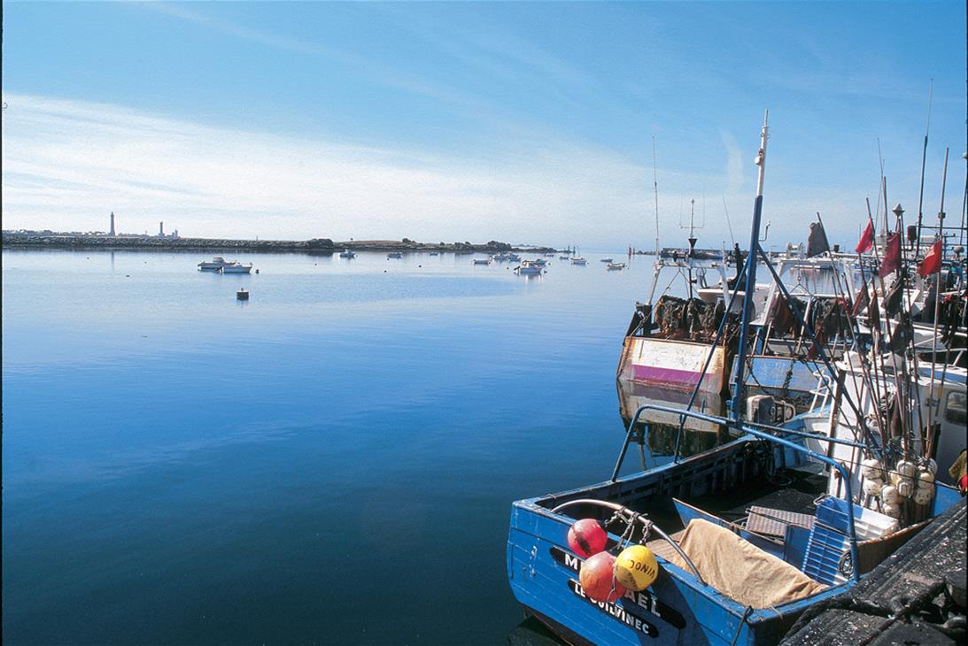 Concarneau, ville d'art et d'histoire - Guillaudeau Donatienne
