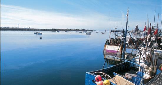 Concarneau, ville d'art et d'histoire - Guillaudeau Donatienne