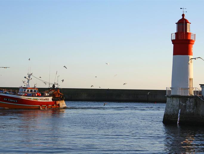 Le bateau parti à la pêche à la Langoustines rentre au port du Guilvinec - Gouniot Marie-Julie