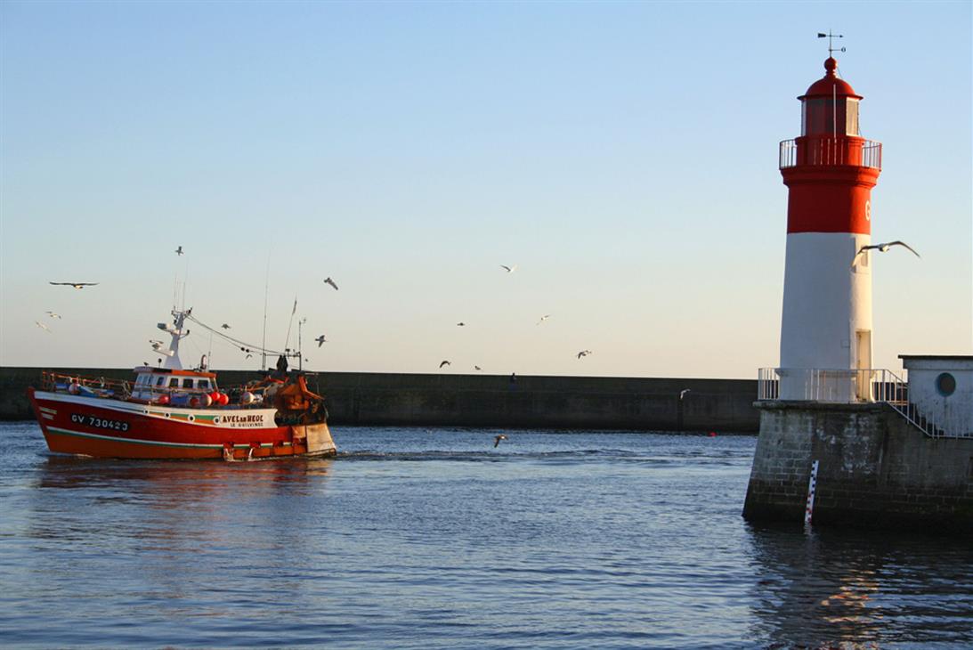 Le bateau parti à la pêche à la Langoustines rentre au port du Guilvinec - Gouniot Marie-Julie