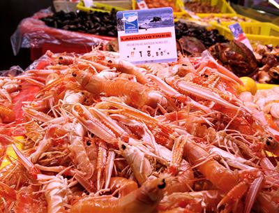 Les belles langoustines du port du Guilvinec - Gouniot Marie-Julie