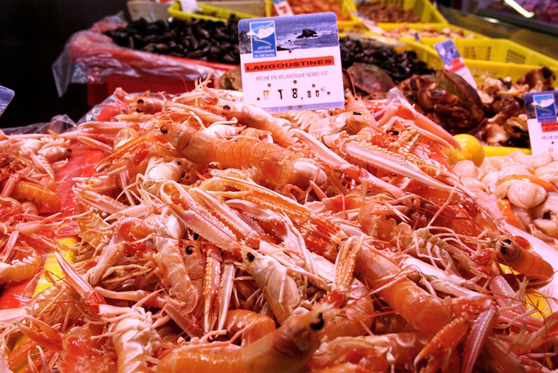 Les belles langoustines du port du Guilvinec - Gouniot Marie-Julie