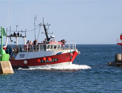 Bateau de pêche au port du Guilvinec, Ouest Cornouaille - Guilliams Laurent