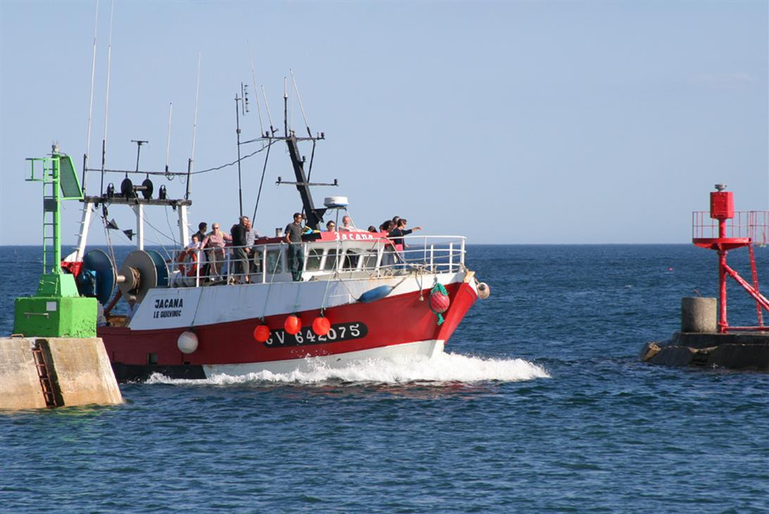 Bateau de pêche au port du Guilvinec, Ouest Cornouaille - Guilliams Laurent