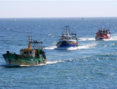Retour de pêche au port du Guilvinec, Ouest Cornouaille - Guilliams Laurent