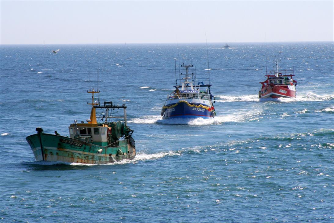 Retour de pêche au port du Guilvinec, Ouest Cornouaille - Guilliams Laurent